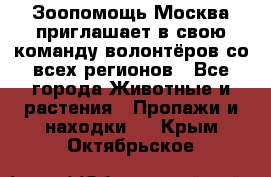 Зоопомощь.Москва приглашает в свою команду волонтёров со всех регионов - Все города Животные и растения » Пропажи и находки   . Крым,Октябрьское